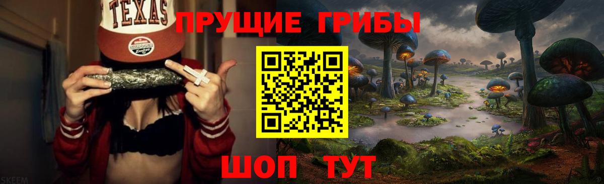 Псилоцибиновые грибы Cubensis Сургут