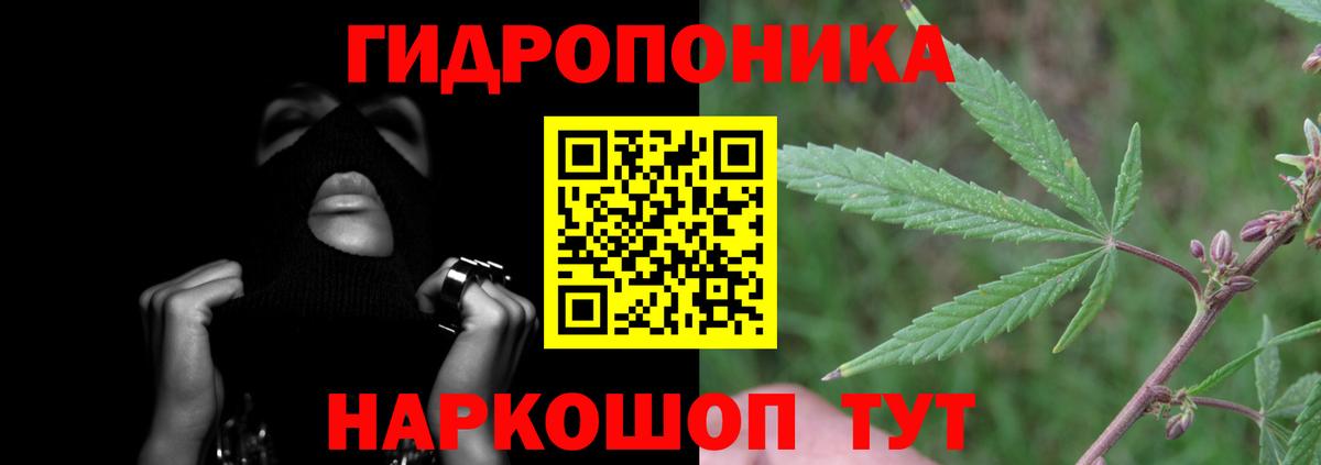 Сургут  Конопля OG Kush  Конопля Ganja  Вход с VPN  Канабис план  Конопля VHQ 